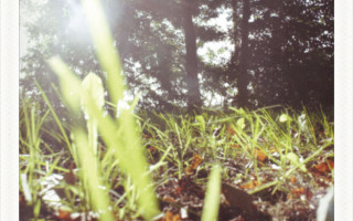 An jeder Ecke Leichen 2