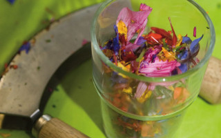 Von Blumenmädchen und Kräuterhexen 6