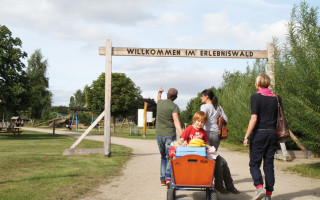 Vier Schröders auf einen Streich 1