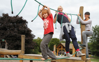 Vier Schröders auf einen Streich 3