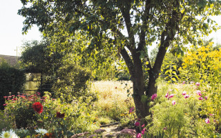 Flowerpower und Pedalkraft 3