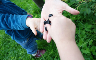 Kinderparadies im Weinberg 3