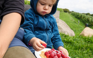 Kinderparadies im Weinberg 2