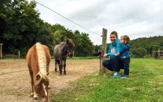 Kinderparadies im Weinberg 4