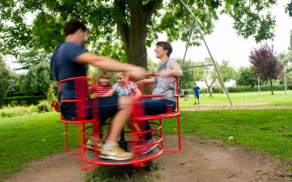 Verstecken in Hecken 3