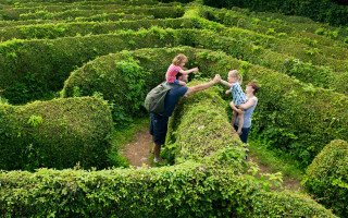 Verstecken in Hecken 1