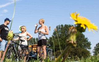 Kopf aus, Gang rein 3