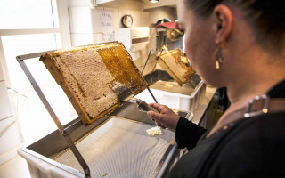 Auf dem Land, wo Honig fließt 4