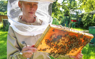 Auf dem Land, wo Honig fließt 1