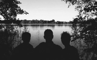 Fledermaus verzweifelt gesucht 3