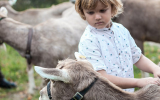 Nette Leute, nette Ziegen.  2