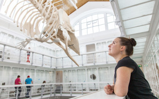 Acht für alle Fälle 1