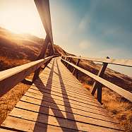 Sommerliche Dünenlandschaft in Norddeutschland