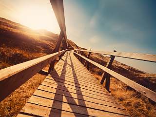 Sommerliche Dünenlandschaft in Norddeutschland