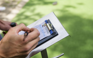 Der Kleingolf-Tiger  3