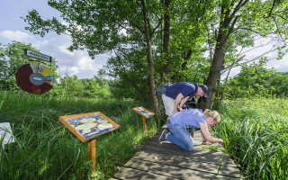 Vier Adleraugen und der Lotuskohlrabi 3