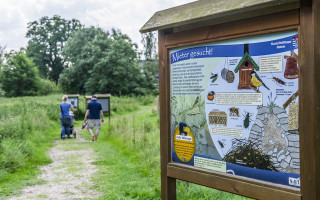 Vier Adleraugen und der Lotuskohlrabi 2