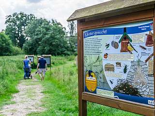 Vier Adleraugen und der Lotuskohlrabi Vier Adleraugen und der Lotuskohlrabi
