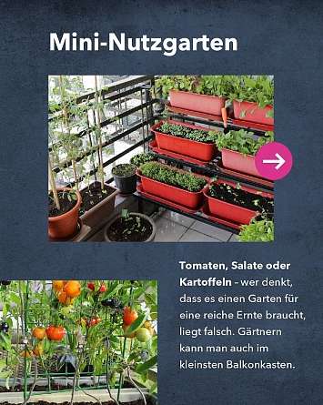 Mini-Nutzgarten