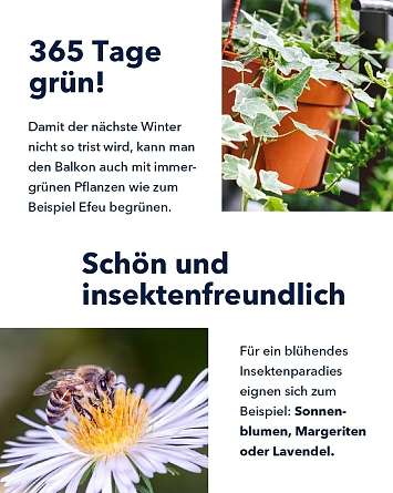 Schön und insektenfreundlich