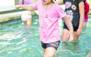 Kneipp und der Garten der Sinne 3