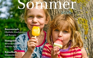 Sömmer Titelblatt mit zwei Kindern mit Eis am Stiel 