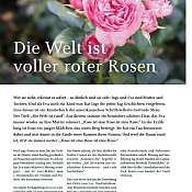 Bild einer rosa Rose mit Artikel 