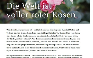 Bild einer rosa Rose mit Artikel 