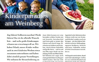 Collage mit Kindern und Artikel zur Überschrift Kinderparadies am Weinberg