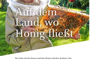 Imker in Schutzkleidung mit Bienen bedeckte Honigwabe